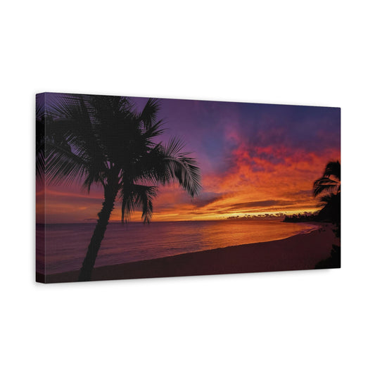 Stretched Canvas, Hawaiian Palm Sunset
