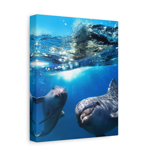 Stretched Canvas, Bottlenose Dolphins