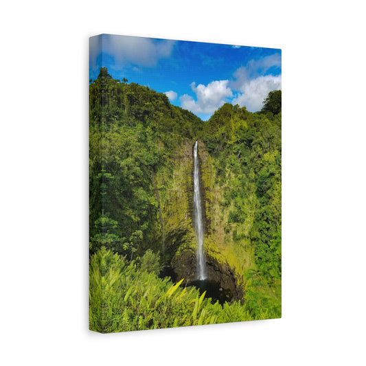 Stretched Canvas, Akaka Falls